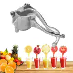 Manual Juicer